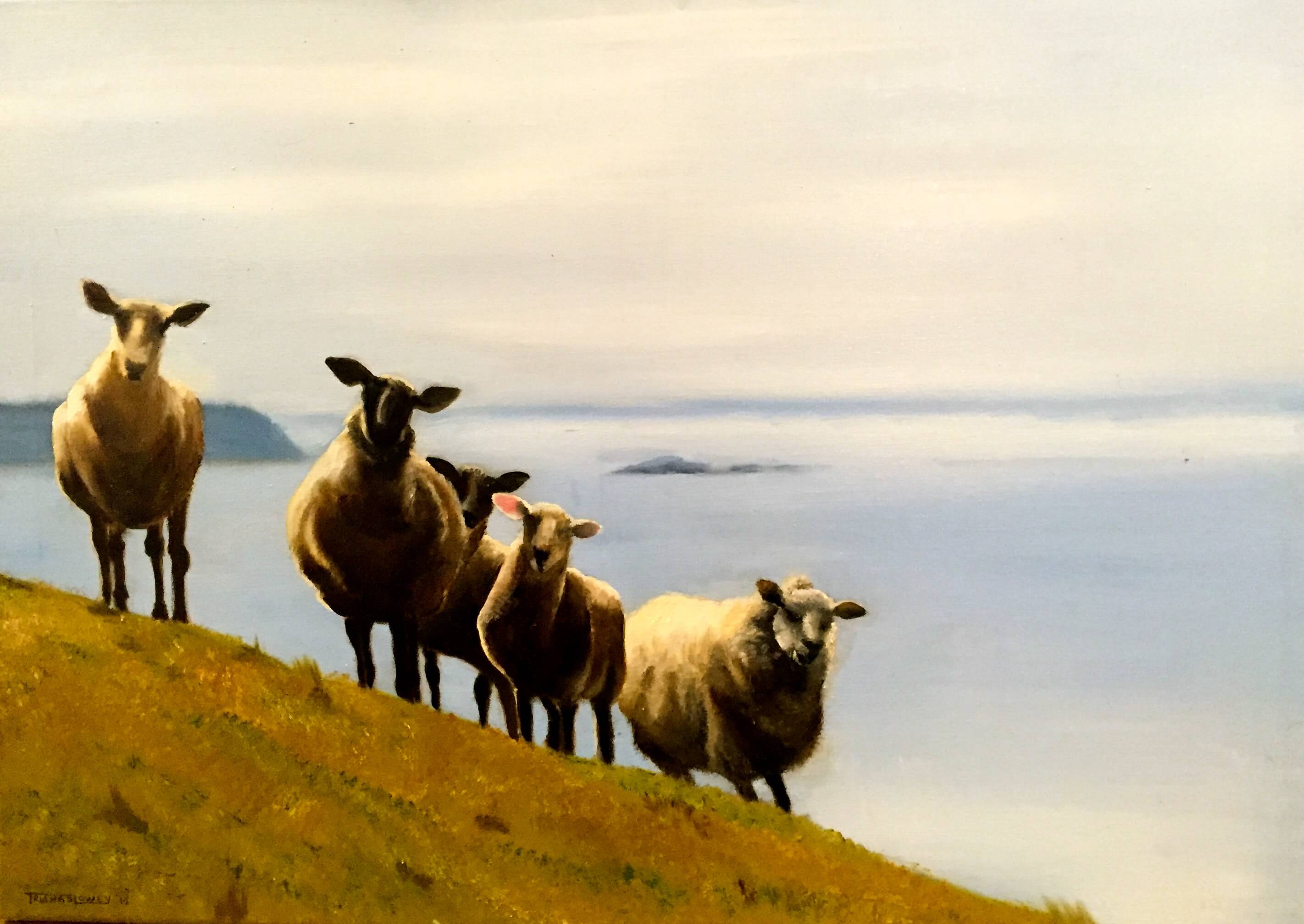 _Curiosity_ Carrowteige, Co.Mayo 20x30 Framed _Sold_