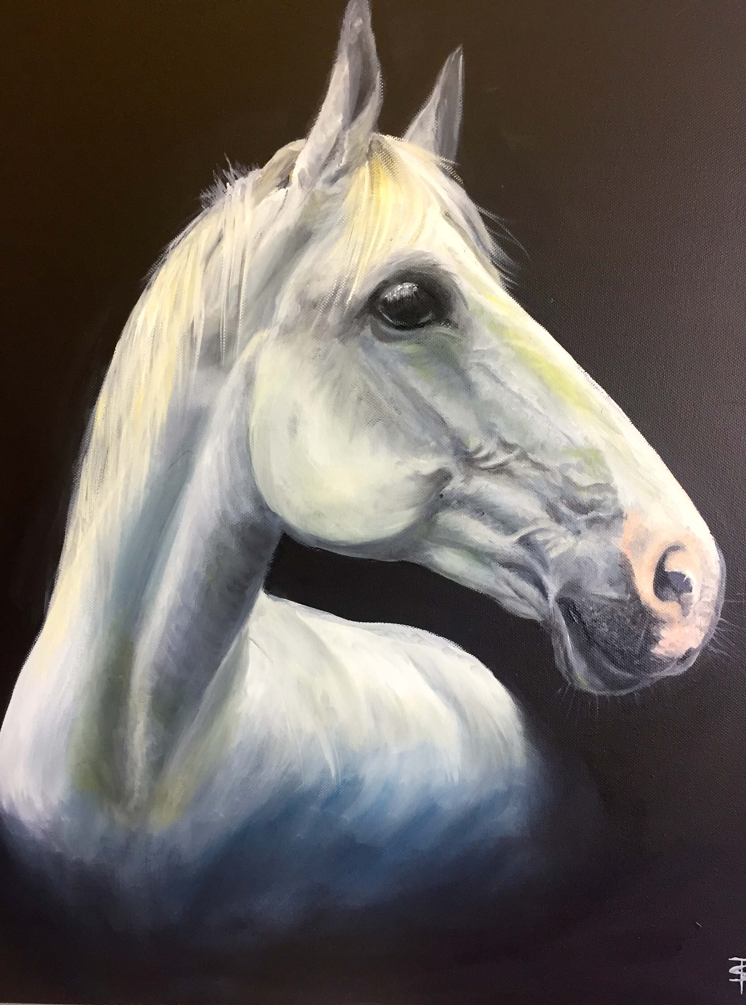 White horse