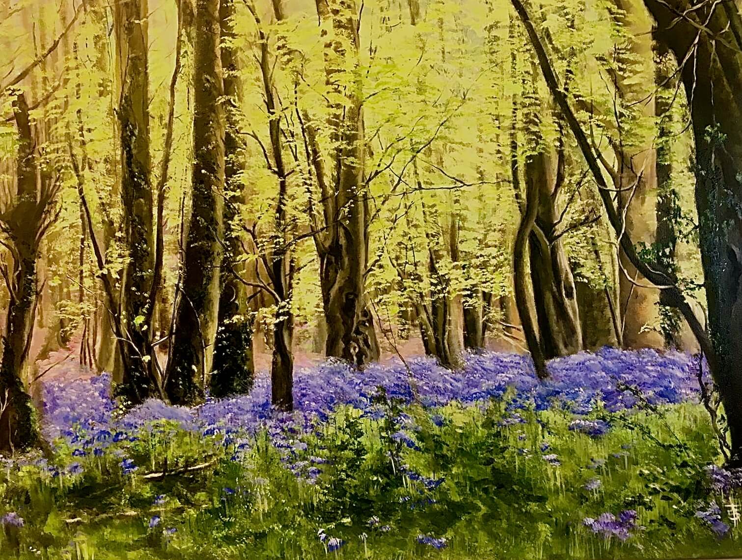 The Bluebells